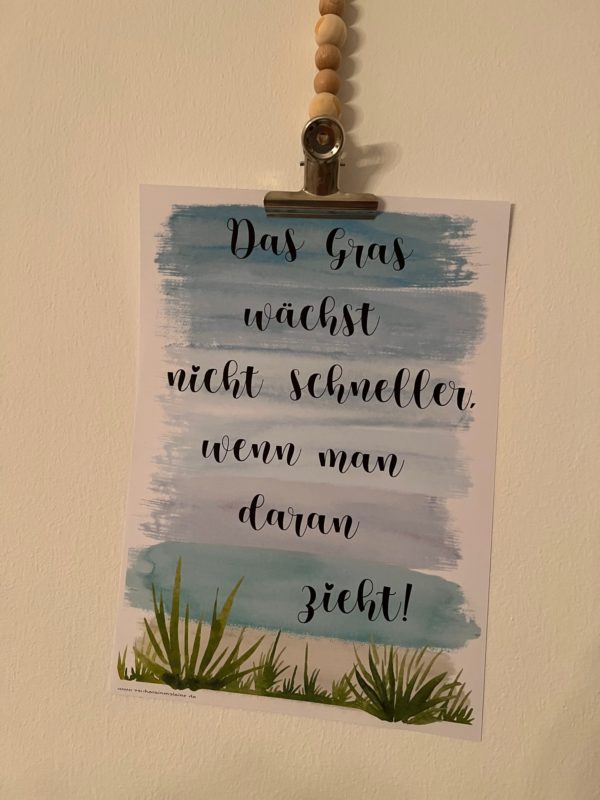 Aushang: Das Gras wächst nicht schneller, wenn man daran zieht!