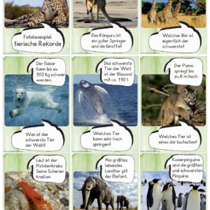 Fotolesespiel Tierische Rekorde (26 Kärtchen)
