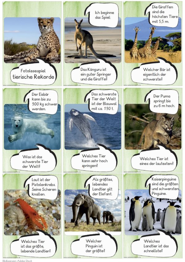 Fotolesespiel Tierische Rekorde (26 Kärtchen)