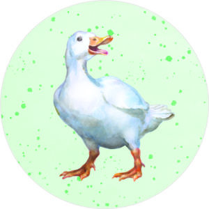 Buttonvorlage: Ente