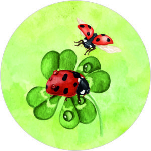 Buttonvorlage: Marienkäfer