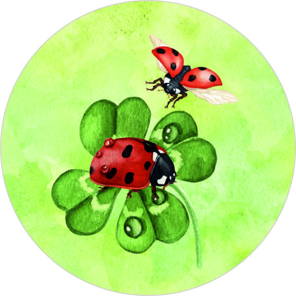 Buttonvorlage: Marienkäfer