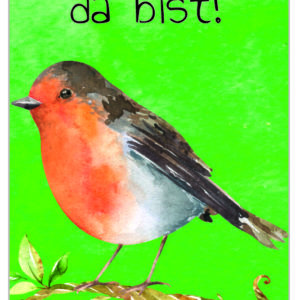 Lesezeichen: Rotkehlchen - plottbar