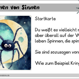 Leseweg: Spinnen von Sinnen