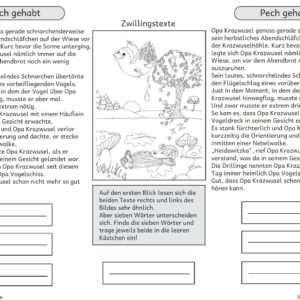 Sparpaket: Zwillingstexte
